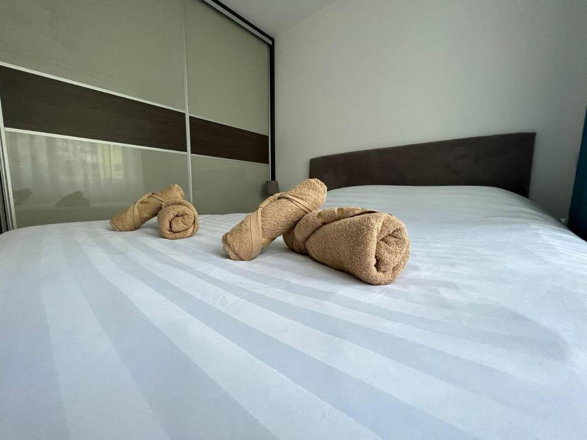 Kronstader Apartaments 布拉索夫 外观 照片